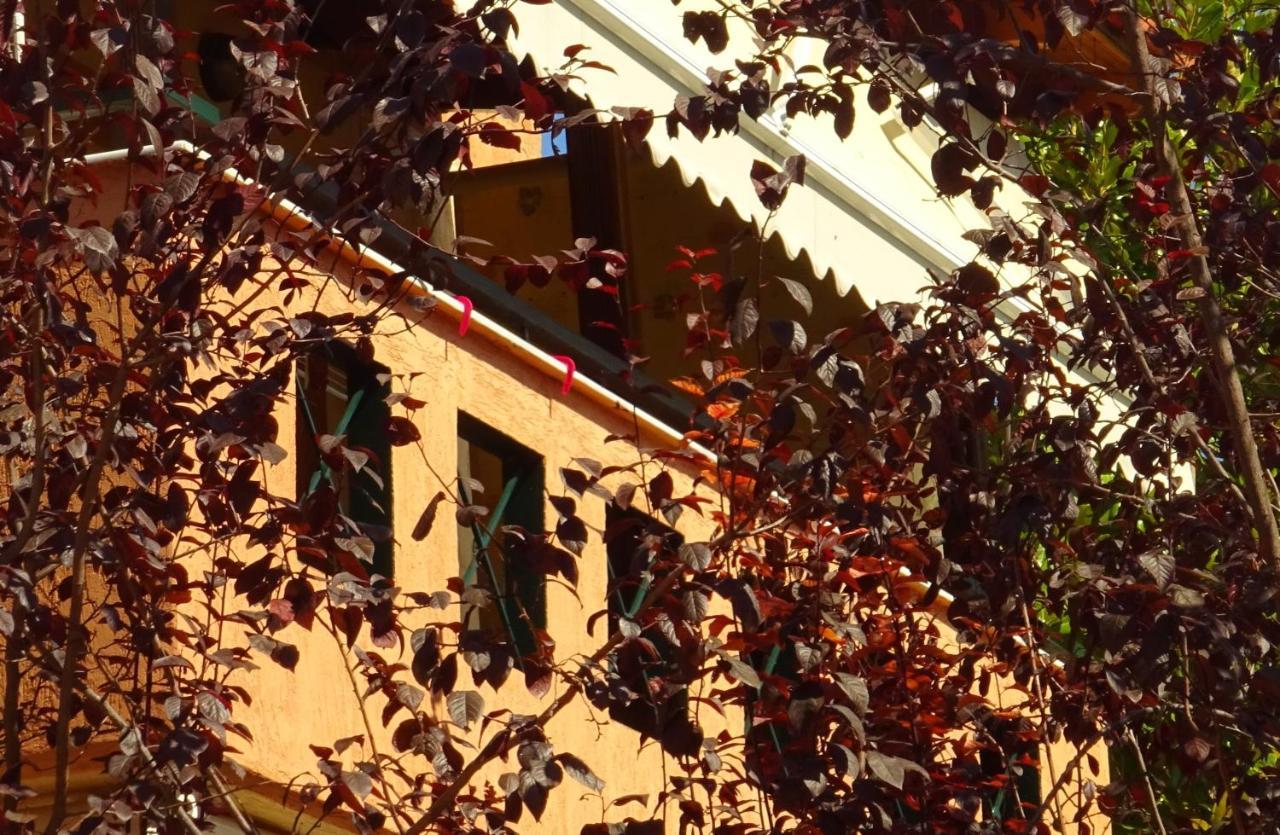 Trip Your Mind In Greece Psakoudia Extérieur photo